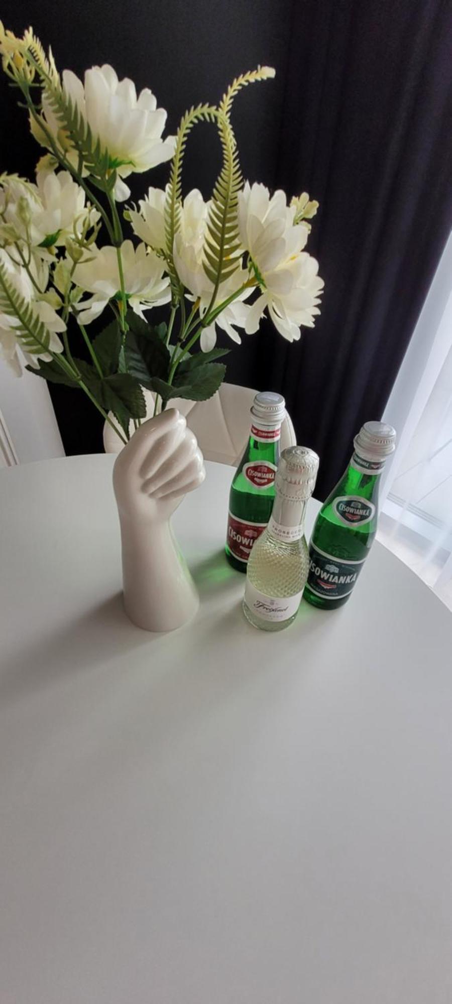 Hanza Tower Apartament 306, Basen, Sauna, Jacuzzi, Fitness Szczecin Kültér fotó